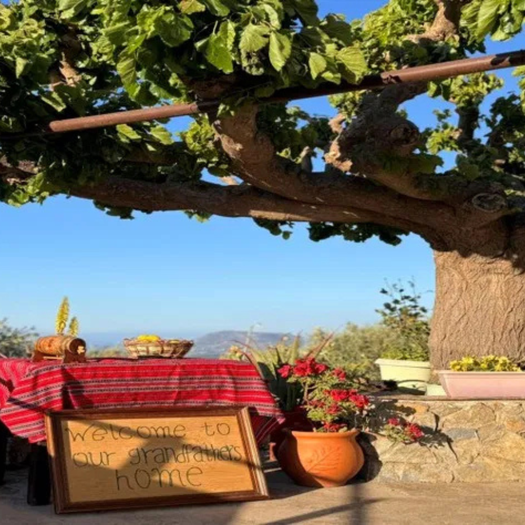 Authentic Cretan Cooking Experience